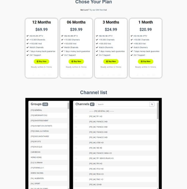 Classic Template IPTV N08 - Elegant IPTV Store Design - Image 2